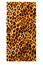 Beachfrotte Leopard